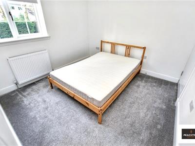 Picture 24
